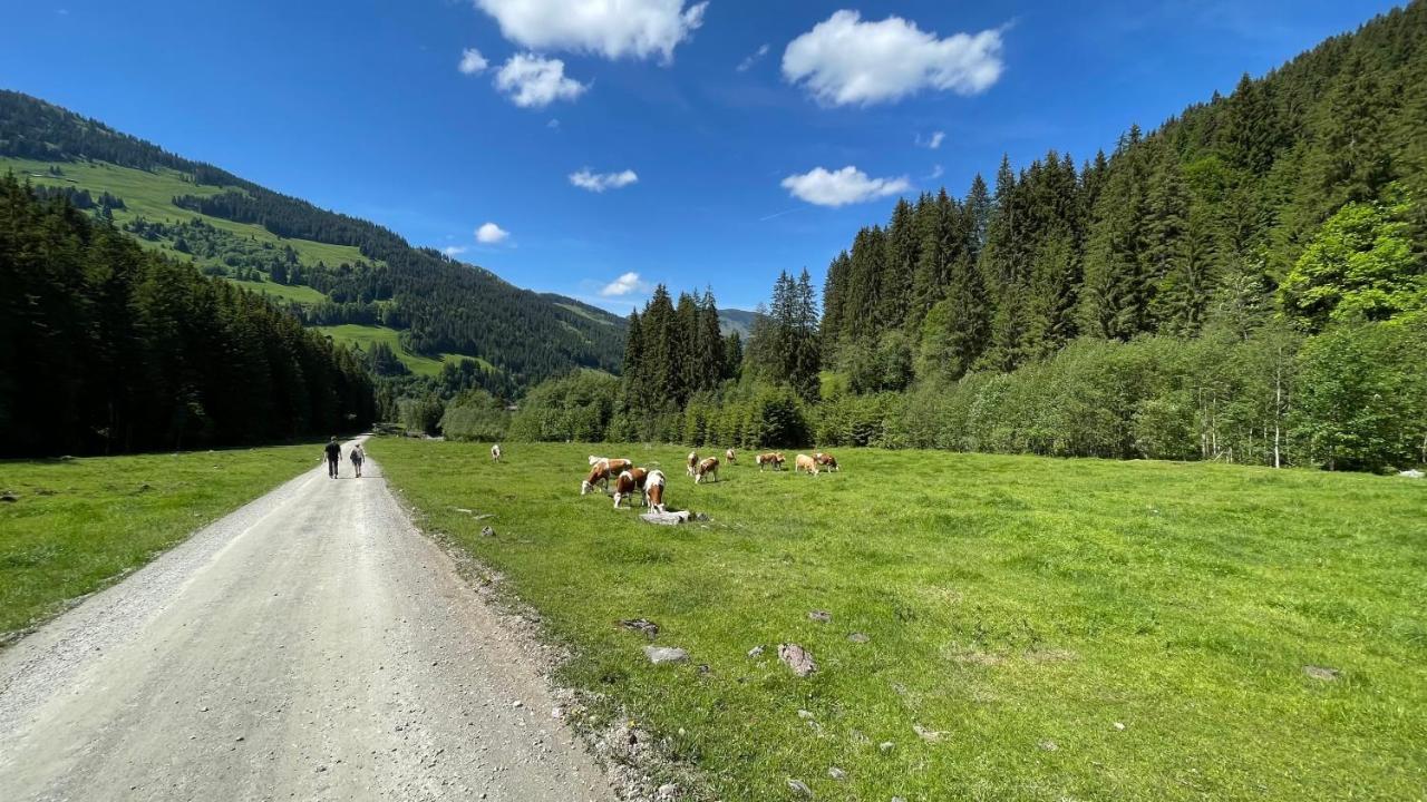 Haizelrock Kirchberg in Tirol Exterior foto